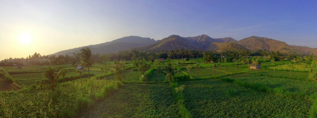 D'Sawah Amed Homestay & Warung Quarto foto